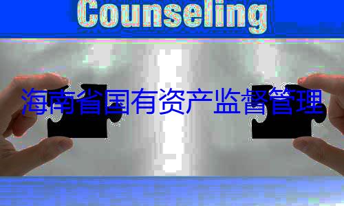 委副书记王查调查资产监督管海南省国有有福接受审理委员会党